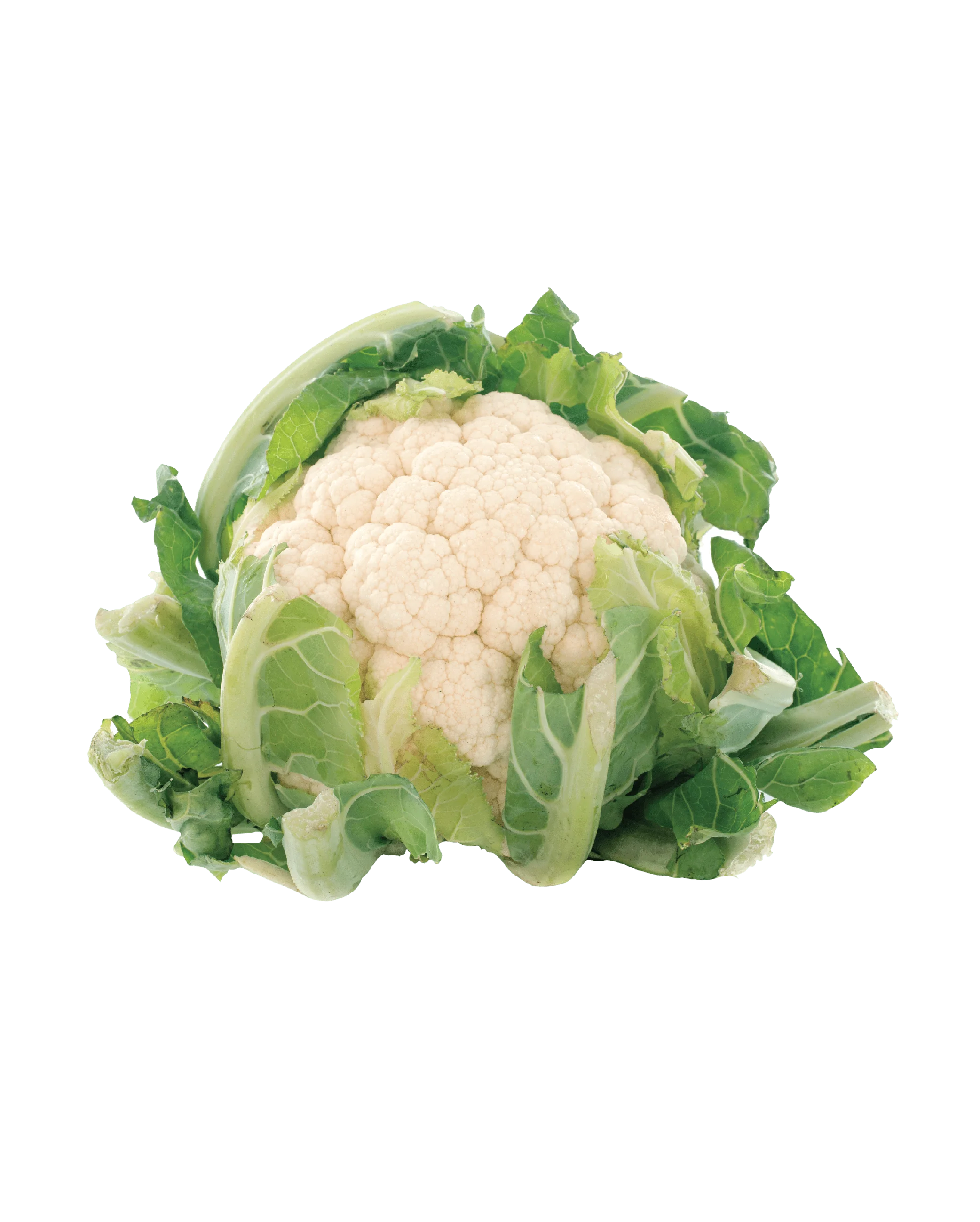 Cauliflower Cauliflower 